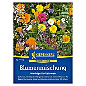 Kiepenkerl Blumensamenmischung Niedrige Duftblumen (Verschiedene Sorten, Mehrfarbig, 2 m² - 4 m²) | BAUHAUS