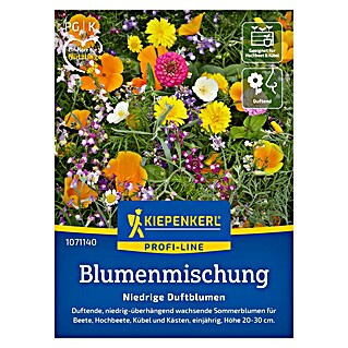 Kiepenkerl Blumensamenmischung Niedrige Duftblumen (Verschiedene Sorten, Mehrfarbig, 2 m² - 4 m²)