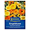 Kiepenkerl Profi-Line Blumensamen Ringelblumen (Calendula officinalis, Mehrfarbig) | BAUHAUS