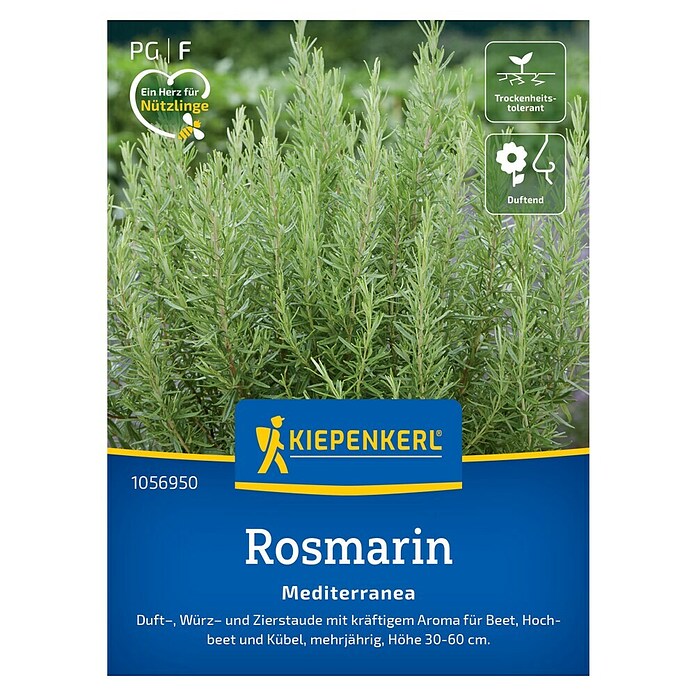 Kiepenkerl Profi-Line Kräutersamen Rosmarin Mediterranea (Rosmarinus officinalis, Saatzeit: Mai, Erntezeit: Ganzjährig) | BAUHAUS