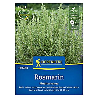 Kiepenkerl Profi-Line Kräutersamen Rosmarin Mediterranea (Rosmarinus officinalis, Saatzeit: Mai, Erntezeit: Ganzjährig)