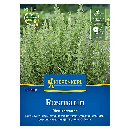 Kiepenkerl Profi-Line Kräutersamen Rosmarin Mediterranea