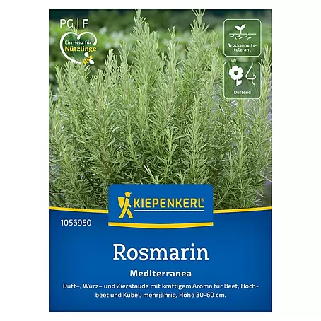 Kiepenkerl Profi-Line Kräutersamen Rosmarin Mediterranea