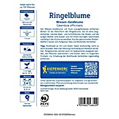 Kiepenkerl Profi-Line Blumensamen Ringelblume (Calendula officinalis, Gelb-Orange) | BAUHAUS