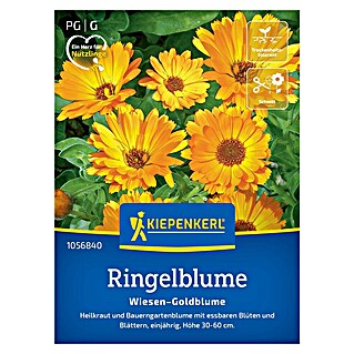Kiepenkerl Profi-Line Blumensamen Ringelblume (Calendula officinalis, Gelb-Orange)