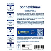 Kiepenkerl Profi-Line Blumensamen Sonnenblume Merida Bicolor (Helianthus annuus, Mehrfarbig) | BAUHAUS