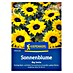 Kiepenkerl Profi-Line Blumensamen Sonnenblume 