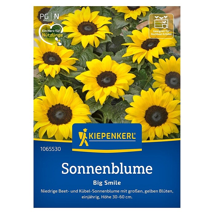 Kiepenkerl Profi-Line Blumensamen Sonnenblume (Helianthus annuus) | BAUHAUS