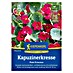 Kiepenkerl Profi-Line Kräutersamen Kapuzinerkresse Pink Princess 