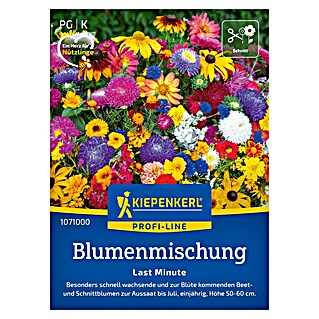 Kiepenkerl Profi-Line Blumensamenmischung Last Minute (Verschiedene Sorten, Mehrfarbig, 4 m²)