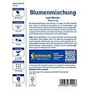 Kiepenkerl Profi-Line Blumensamenmischung Last Minute (Verschiedene Sorten, Mehrfarbig, 4 m²) | BAUHAUS