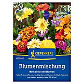 Kiepenkerl Profi-Line Blumensamenmischung Balkonkastenblumen (Verschiedene Sorten, Mehrfarbig) | BAUHAUS