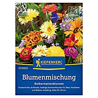 Kiepenkerl Profi-Line Blumensamenmischung Balkonkastenblumen (Verschiedene Sorten, Mehrfarbig)