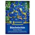 Kiepenkerl Profi-Line Blumensamen Büschelschön Glocken-Phazelie 