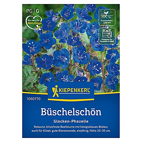 Kiepenkerl Profi-Line Blumensamen Büschelschön Glocken-Phazelie (Phacelia campanularia)
