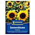 Kiepenkerl Profi-Line Blumensamen Sonnenblume Pradomio 