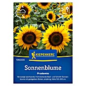 Kiepenkerl Profi-Line Blumensamen Sonnenblume Pradomio (Helianthus annuus, Gelb) | BAUHAUS