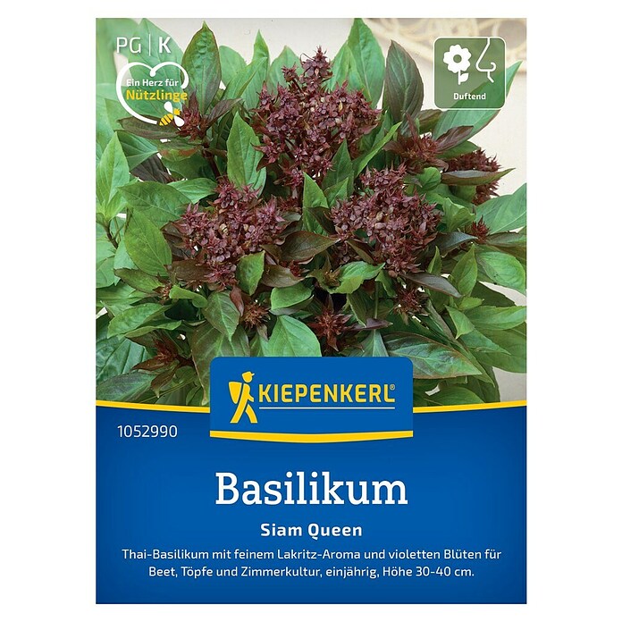 Kiepenkerl Profi-Line Kräutersamen Basilikum (Ocimum basilicum, Saatzeit: April, Erntezeit: Juli) | BAUHAUS