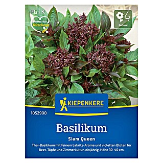 Kiepenkerl Profi-Line Kräutersamen Basilikum (Ocimum basilicum, Saatzeit: April, Erntezeit: Juli)