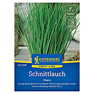 Kiepenkerl Profi-Line Kräutersamen Schnittlauch Staro (Allium schoenoprasum, Saatzeit: April, Erntezeit: Ganzjährig)