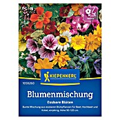 Kiepenkerl Profi-Line Blumensamenmischung Essbare Blüten (Verschiedene Sorten, Mehrfarbig, 2 m²) | BAUHAUS