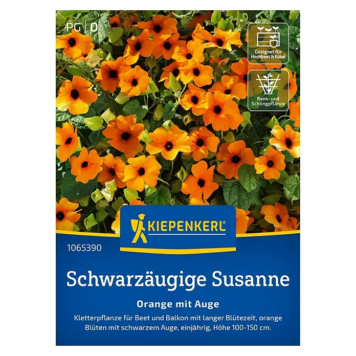 Kiepenkerl Profi-Line Blumensamen Schwarzäugige Susanne Orange mit Auge - Thunbergia alata, Orange - Packung Schwarzäugige Susanne 'Orange mit Auge' von Kiepenkerl. Geeignet für Hochbeete und Kübel, Rank- und Schlingpflanze.