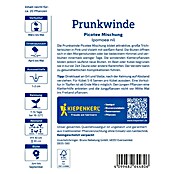 Kiepenkerl Profi-Line Blumensamen Prunkwinde (Ipomoea purpurea, Mehrfarbig) | BAUHAUS