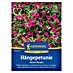 Kiepenkerl Profi-Line Blumensamen Hängepetunie 
