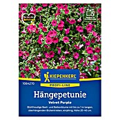Kiepenkerl Profi-Line Blumensamen Hängepetunie (Petunia x atkinsiana, Pink) | BAUHAUS