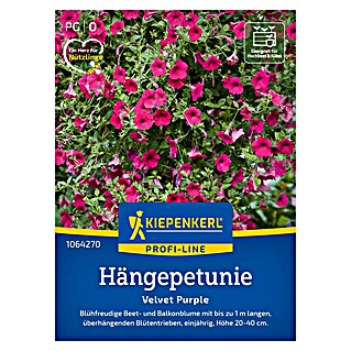 Kiepenkerl Profi-Line Blumensamen Hängepetunie (Petunia x atkinsiana, Pink)