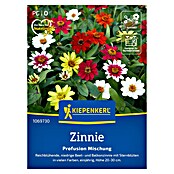 Kiepenkerl Profi-Line Blumensamen Zinnie Profusion (Zinnia elegans, Mehrfarbig) | BAUHAUS