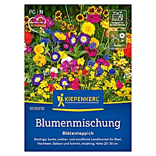 Kiepenkerl Profi-Line Blumensamenmischung Blütenteppich (Mischung, Mehrfarbig, 2 m²)