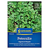 Kiepenkerl Profi-Line Kräutersamen Petersilie (Petroselinum crispum var. neapolitanum, Saatzeit: März, Erntezeit: Juni) | BAUHAUS