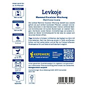 Kiepenkerl Profi-Line Blumensamen Levkoje (Matthiola incana) | BAUHAUS