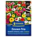 Kiepenkerl Blumensamenmischung Zinnien-Trio 