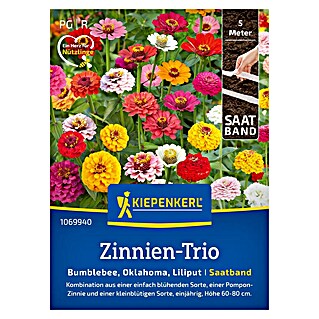 Kiepenkerl Blumensamenmischung Zinnien-Trio (Zinnia elegans, Inhalt geeignet für ca. 5 Meter)