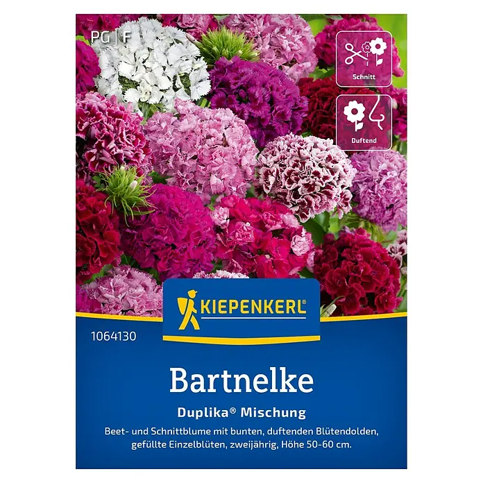 Kiepenkerl Profi-Line Blumensamen Bartnelke - Dianthus barbatus - Samenpackung Bartnelke 'Duplika Mischung' von Kiepenkerl mit farbenfrohen Blüten und Duft, ideal für Beet und Schnittblumen.