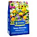 Kiepenkerl Blumenmischung Tempo Blütenflor 