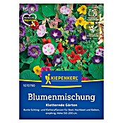 Kiepenkerl Profi-Line Blumensamenmischung Kletternde Gärten (Verschiedene Sorten, Mehrfarbig) | BAUHAUS