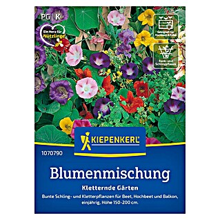 Kiepenkerl Profi-Line Blumensamenmischung Kletternde Gärten (Verschiedene Sorten, Mehrfarbig)