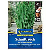 Kiepenkerl Profi-Line Kräutersamen Schnittlauch Staro Saatscheibe (Allium schoenoprasum, Erntezeit: Ganzjährig) | BAUHAUS