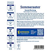 Kiepenkerl Profi-Line Blumensamen Sommeraster (Callistephus chinensis, Mehrfarbig) | BAUHAUS