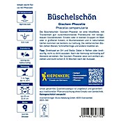 Kiepenkerl Profi-Line Blumensamen Büschelschön Glocken-Phazelie (Phacelia campanularia) | BAUHAUS