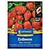 Kiepenkerl Profi-Line Obstsamen Erdbeere Elan, F1 