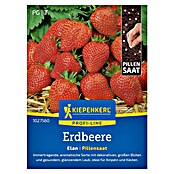 Kiepenkerl Profi-Line Obstsamen Erdbeere Elan, F1 (Fragaria x ananassa, Erntezeit: Juni) | BAUHAUS