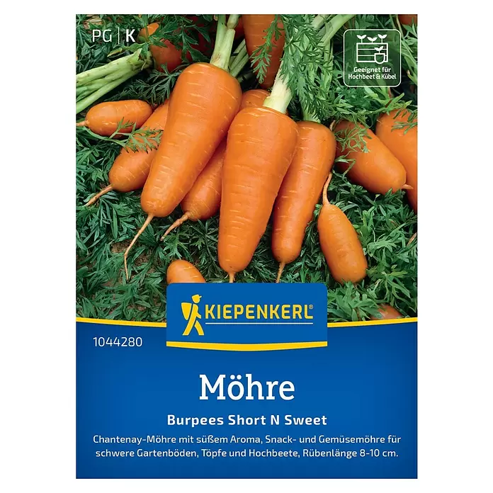 Kiepenkerl Gemüsesamen Burpees Short N Sweet - Daucus carota, Erntezeit: Juni, Inhalt reicht für ca. 8-10 Meter - Frische orange Burpees Short N Sweet Chantenay-Möhren mit grünem Laub, ideal für Töpfe und Hochbeete.