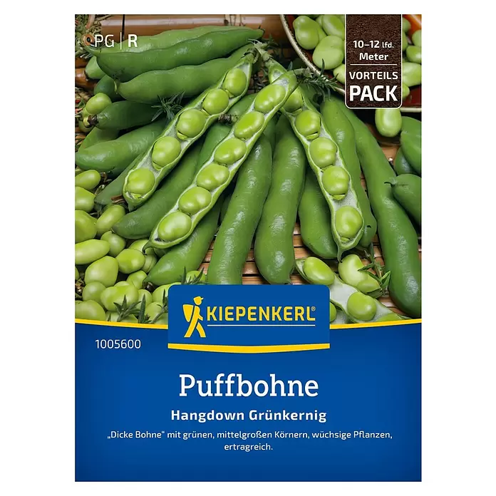 Kiepenkerl Gemüsesamen Puffbohne 'Hangdown Grünkernig' - Vicia faba - Frische grüne Puffbohnen-Schoten, teils geöffnet mit Bohnen, Kiepenkerl-Marke.