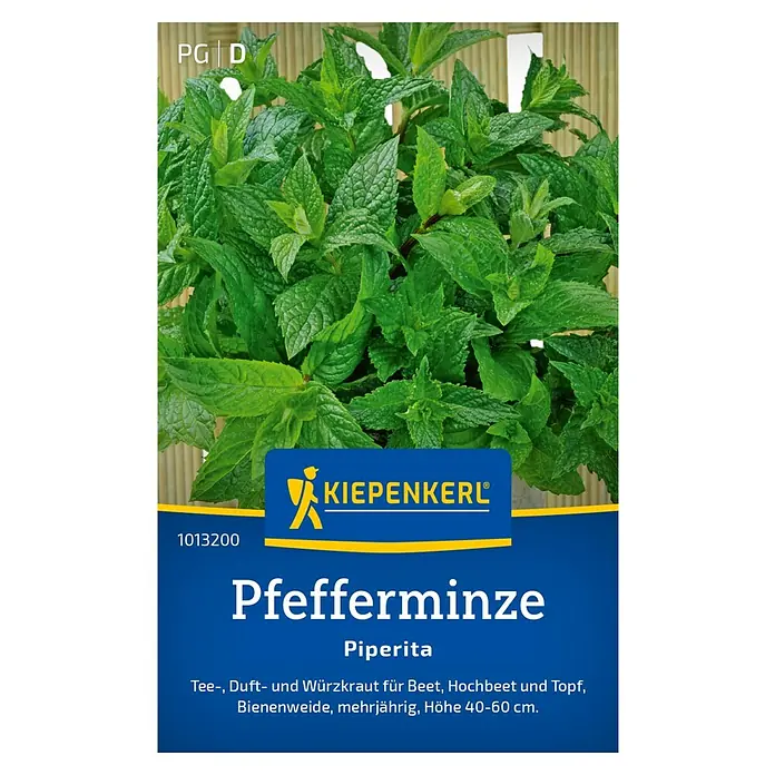 Kiepenkerl Kräutersamen Pfefferminze Piperita - Mentha piperita, Saatzeit: März, Erntezeit: Juni - Abbildung einer 'Kiepenkerl' Pfefferminze 'Piperita', einer mehrjährigen, duftenden und aromatischen Pflanze für Beet, Topf und Hochbeet.
