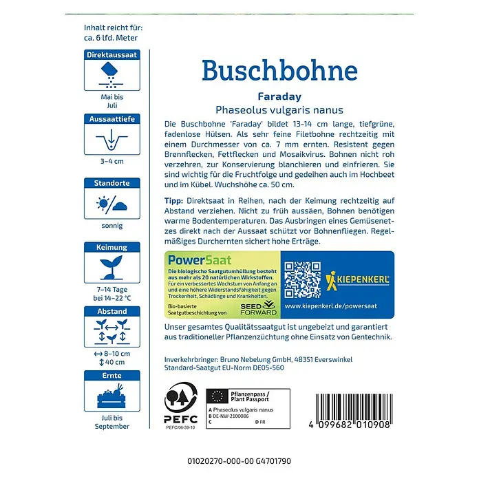 Kiepenkerl Profi-Line Gemüsesamen Buschbohne Faraday PS - Phaseolus vulgaris var. nanus, Erntezeit: Juli - Abbildung des 'Faraday' Buschbohne-Samens, einer Sorte von Phaseolus vulgaris nanus, bekannt für ihre tiefgrünen, fadenlosen Hülsen.