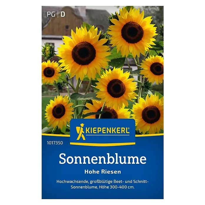 Kiepenkerl Blumensamen Sonnenblumen - Helianthus annuus, Gelb - Sonnenblumen "Hohe Riesen" von Kiepenkerl. Ideal für Beet und Schnitt, mit einer Höhe von 300-400 cm.